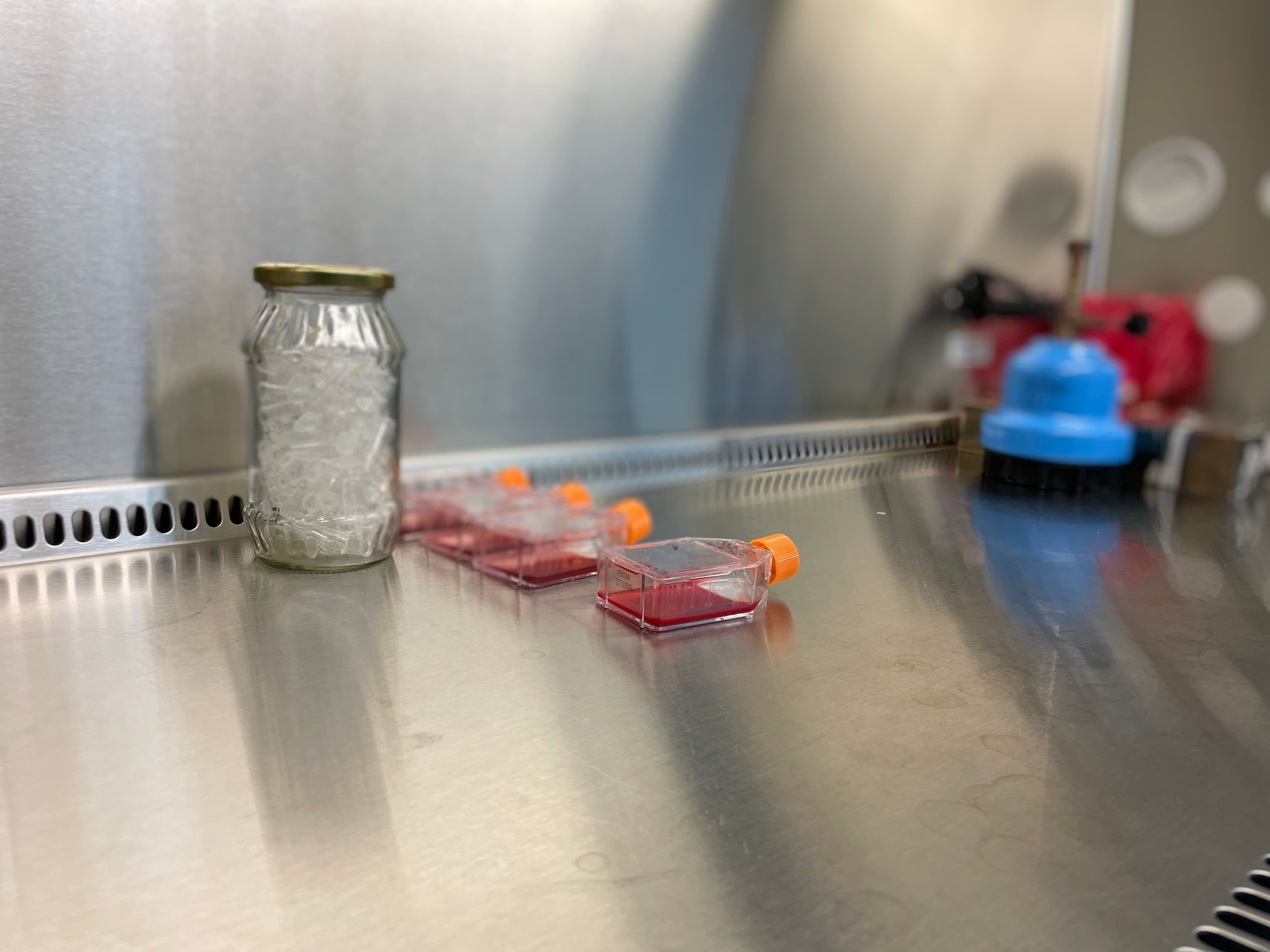 Cell Culture Platform 2